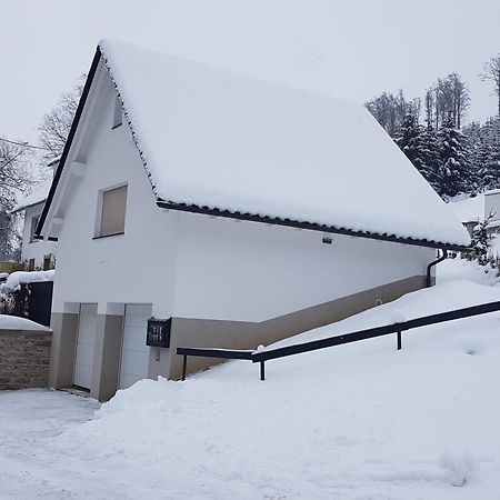 Ferienhaus Am Ruhberg Winterberg Extérieur photo