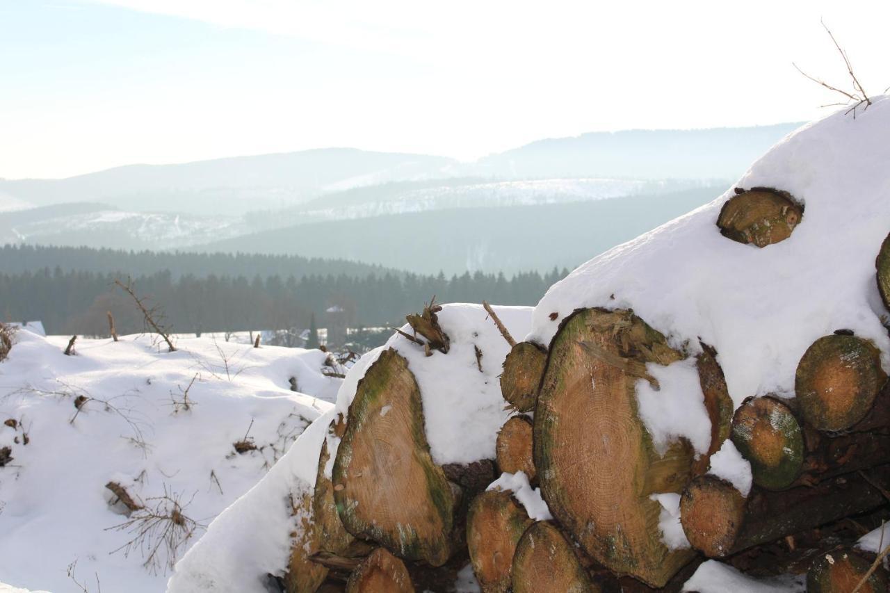 Ferienhaus Am Ruhberg Winterberg Extérieur photo