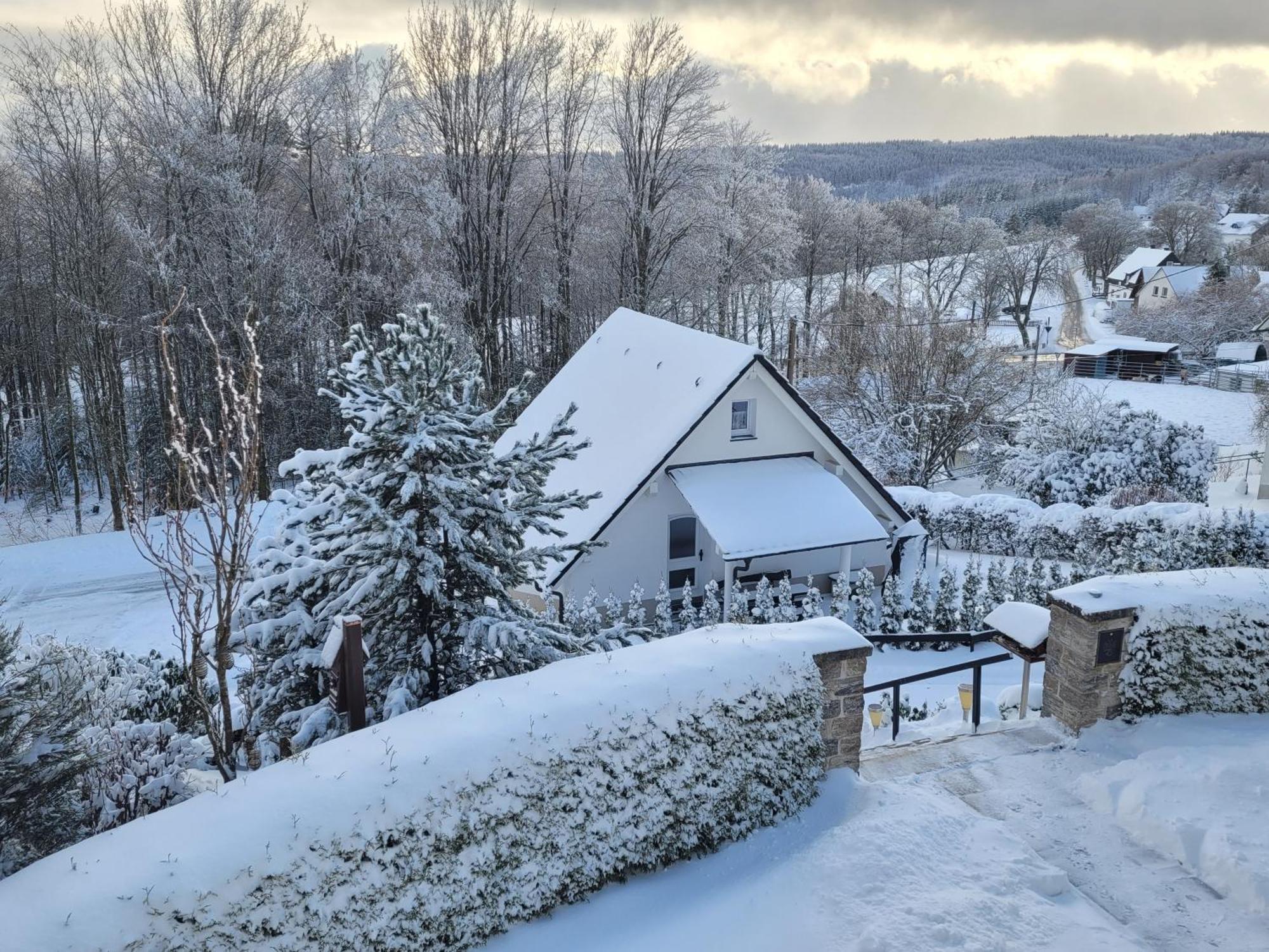 Ferienhaus Am Ruhberg Winterberg Extérieur photo